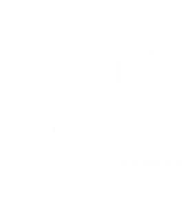 Lyon Financial Icon